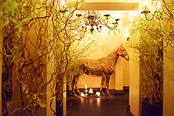 MICROSOFT AT THE RUINS